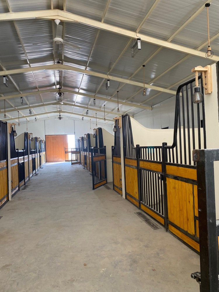 تاسيس وتصميم اسطبلات الخيل - 17
