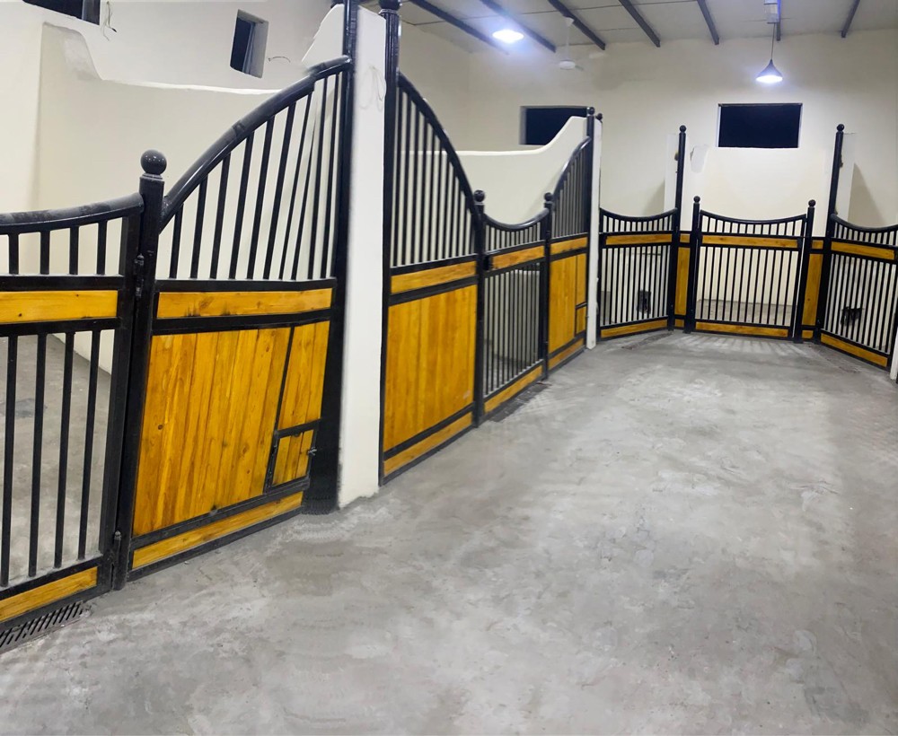 تاسيس وتصميم اسطبلات الخيل - 16