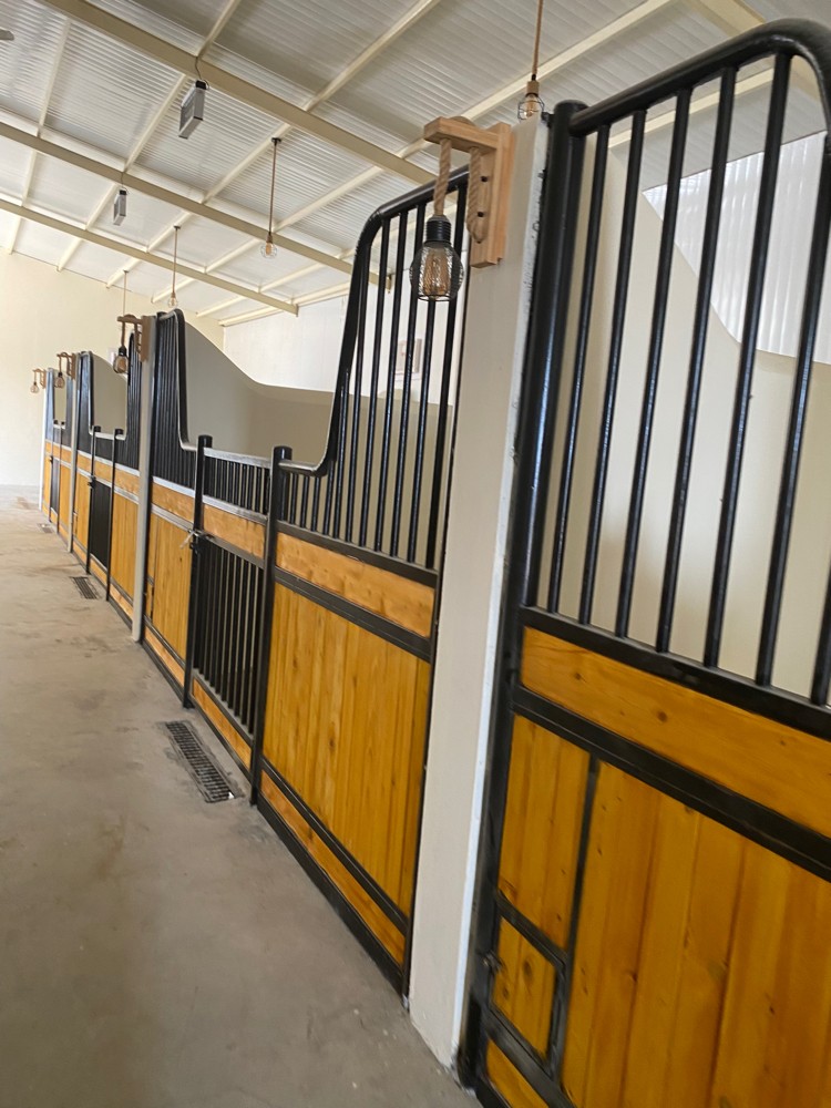 تاسيس وتصميم اسطبلات الخيل - 15