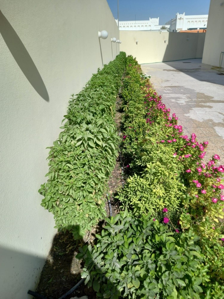 بايفيتر - 5
