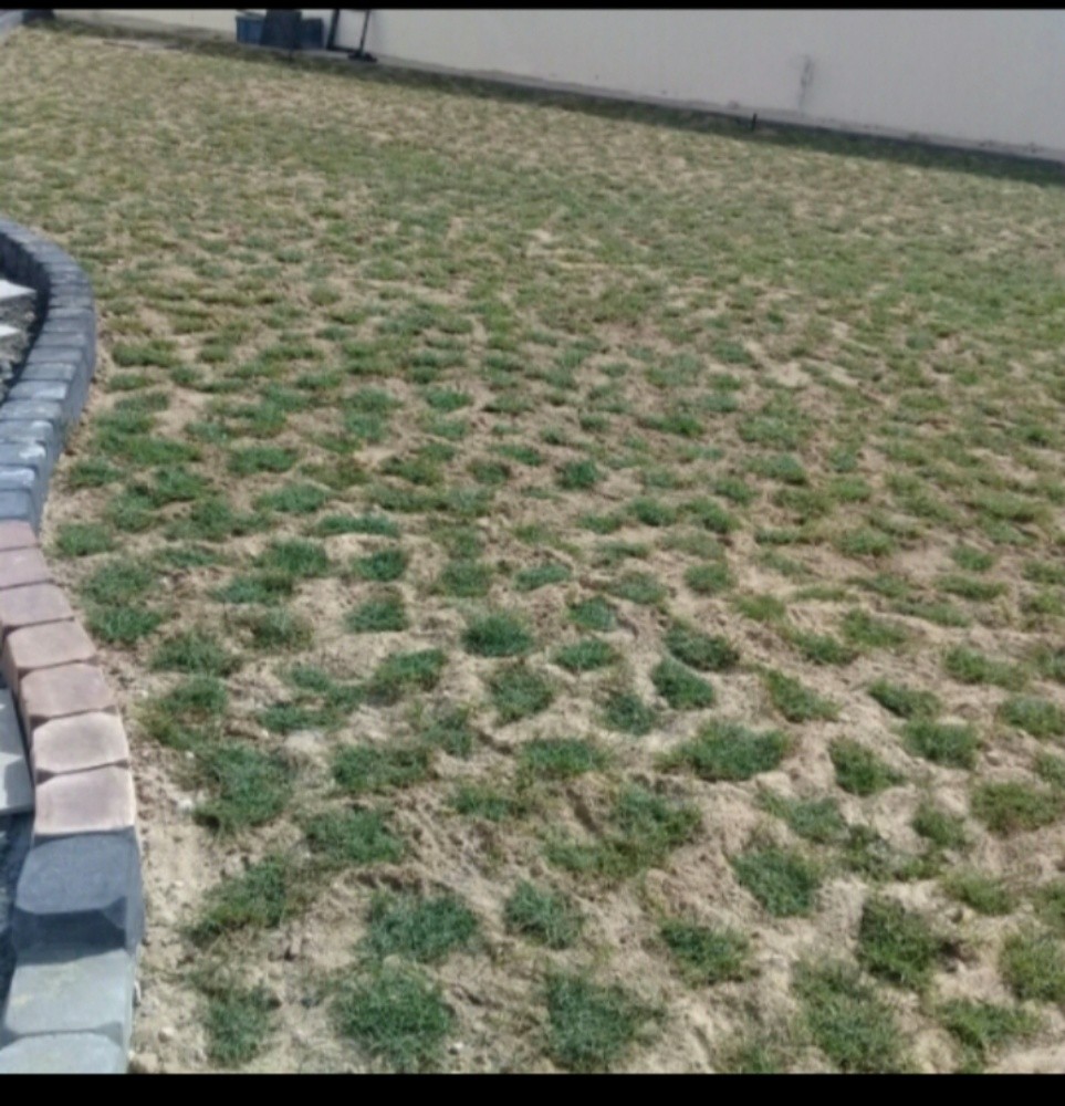 منسق حدائق منزليه - 5