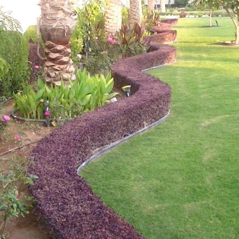 اعمال الزراعة وشبكات الري الحديثه - 5