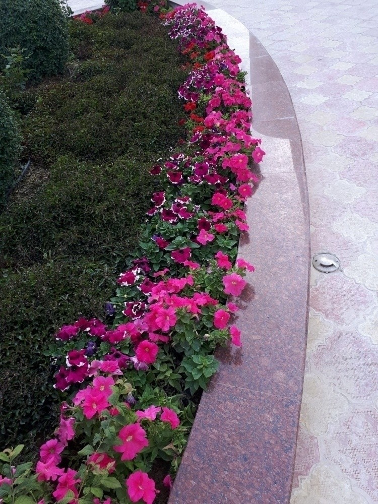مزارع ومنسق حدائق - 2