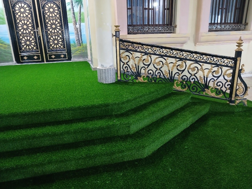 Carpets, Curtains, Sofas, Grass C - 6
