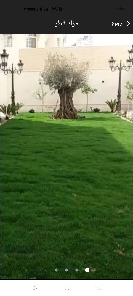 زراعة الفيلا والبيوت وشبكة الرى - 1