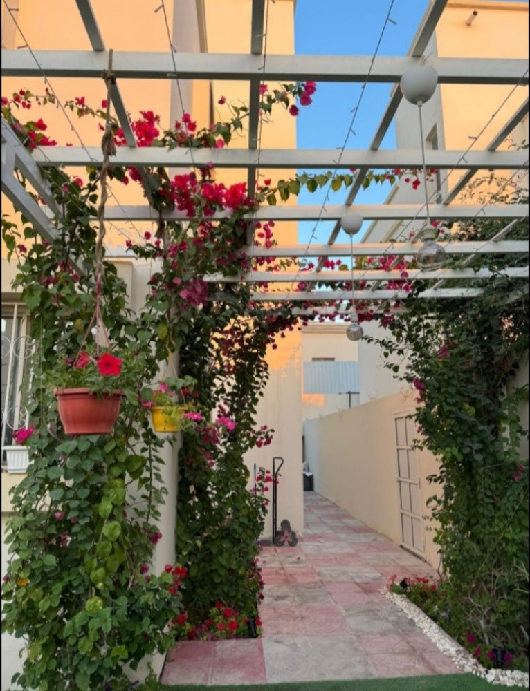 مزراع - 4