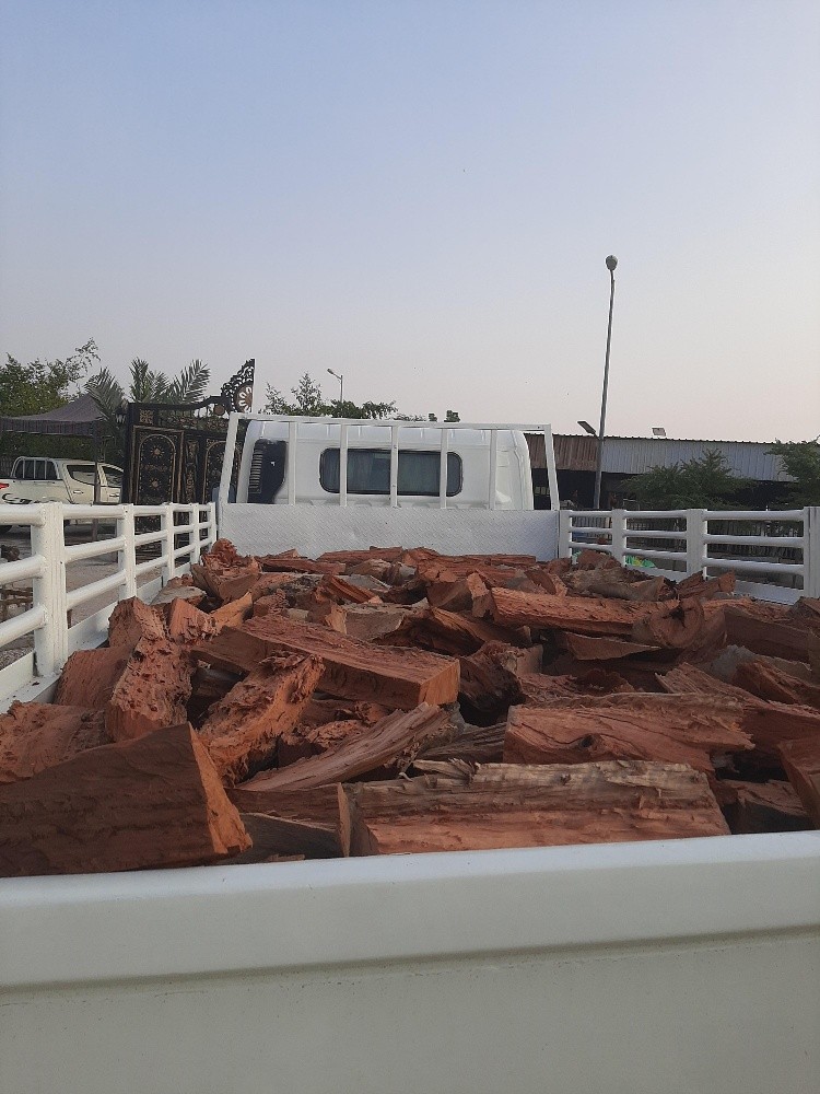 مشلخ مشروط - 2