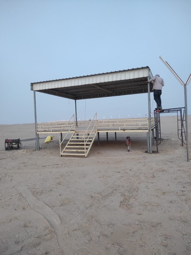 Tofala camel - 3