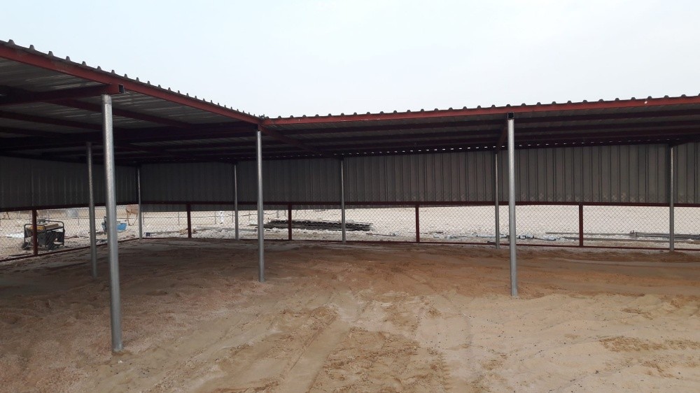 Tofala camel - 8