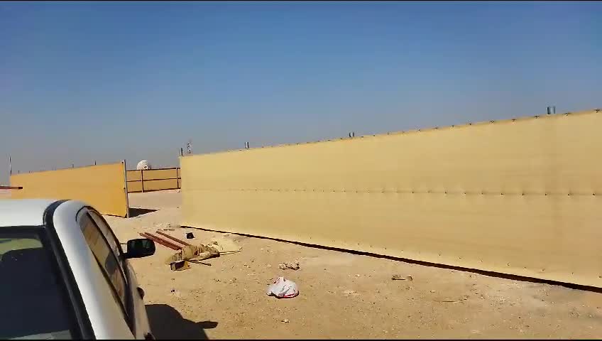 Tofala camel - 12