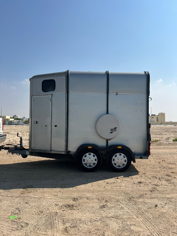 نقل الخيل من والي اي مكان في قطر - 1