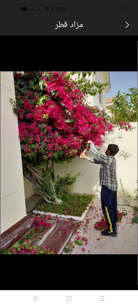 صيانه الحديقة وشبكة الرى - 1