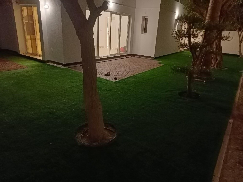 Artificial Grass Carpet - 3
