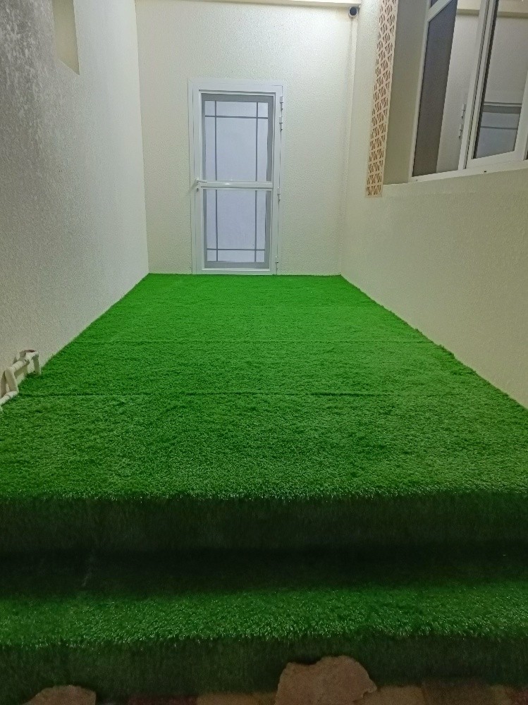 Artificial Grass Carpet - 3