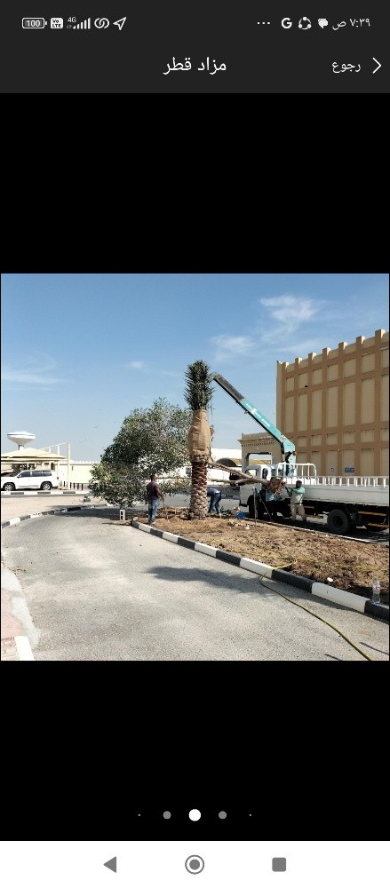 صيانه شهريه للحدائق - 6