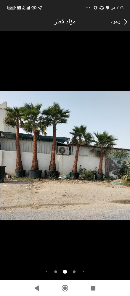 صيانه شهريه للحدائق - 4
