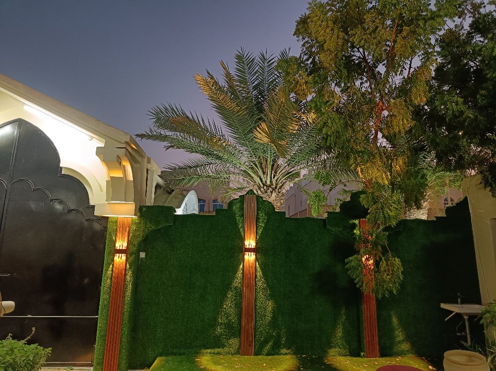 Artificial Grass Carpet - 3