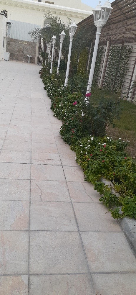 مزارع ومقطع اشجار ونخيل - 4