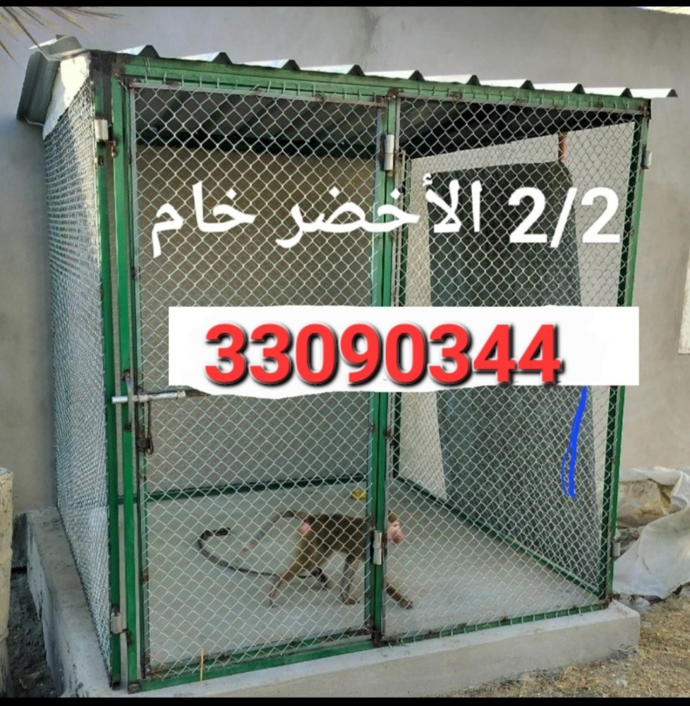 أوجار - 11