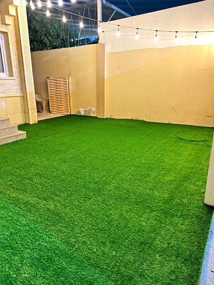 Artificial Grass Carpet - 13