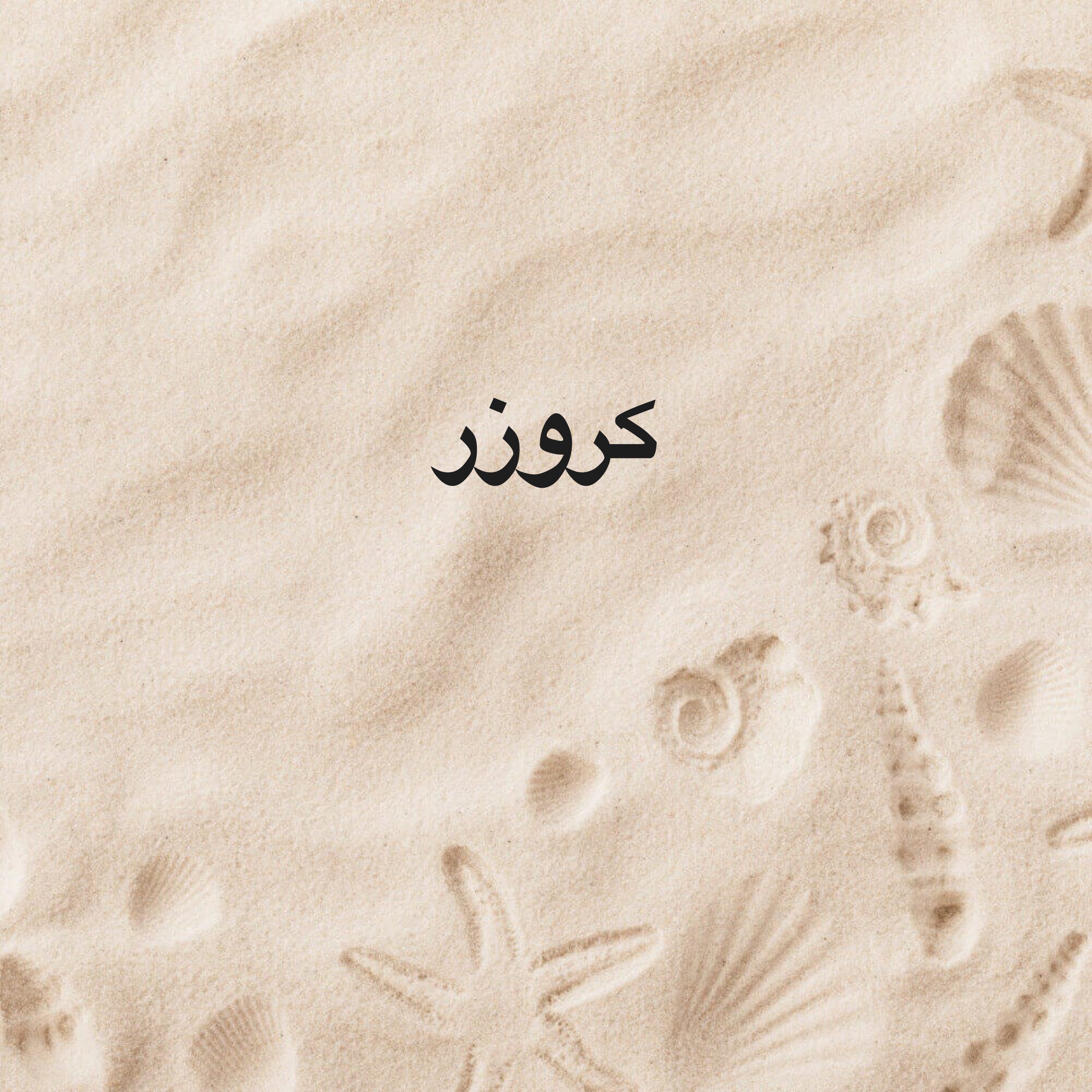 مطلوب سيارات مدعومة - 1