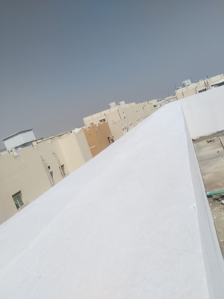 صباغ - 6