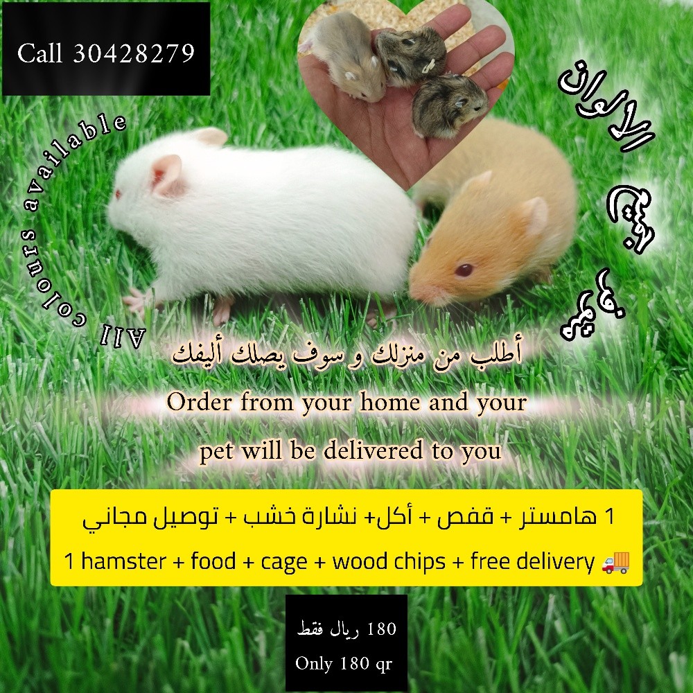 hamster package (free delivery) - 1