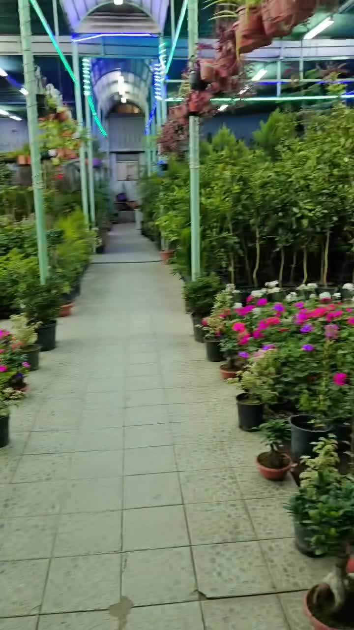 مزارع - 1