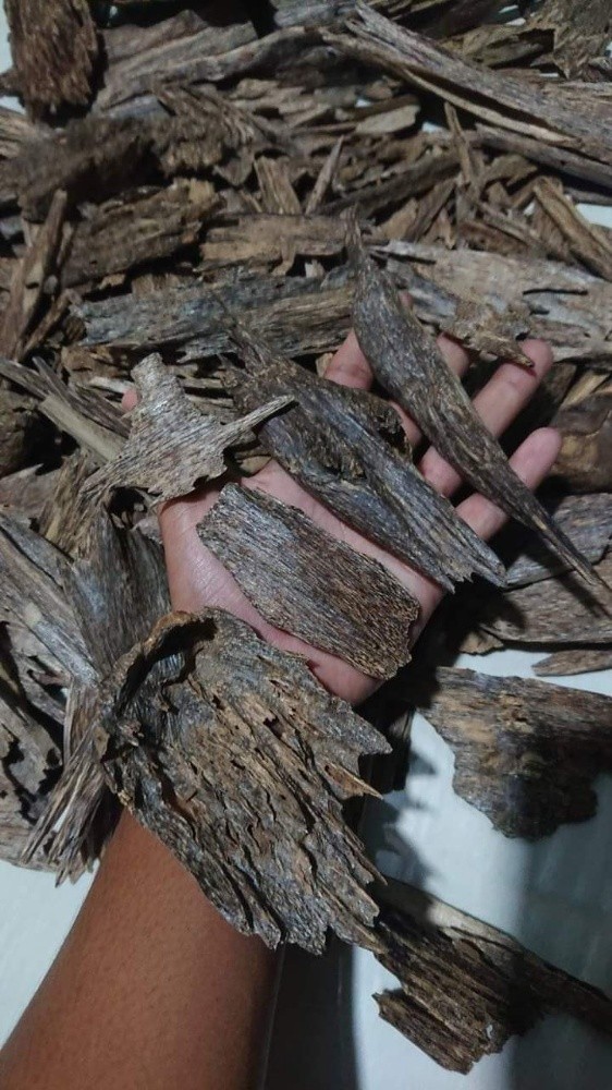 wood - 1