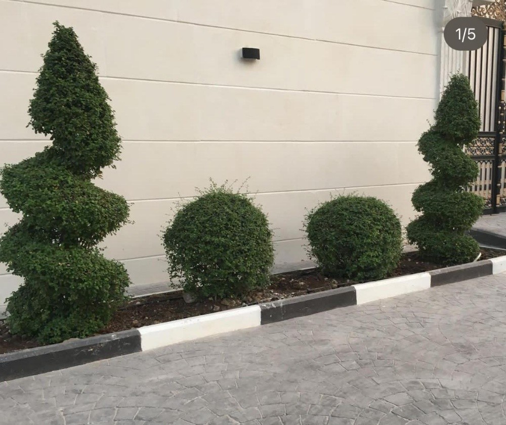 مزارع - 1