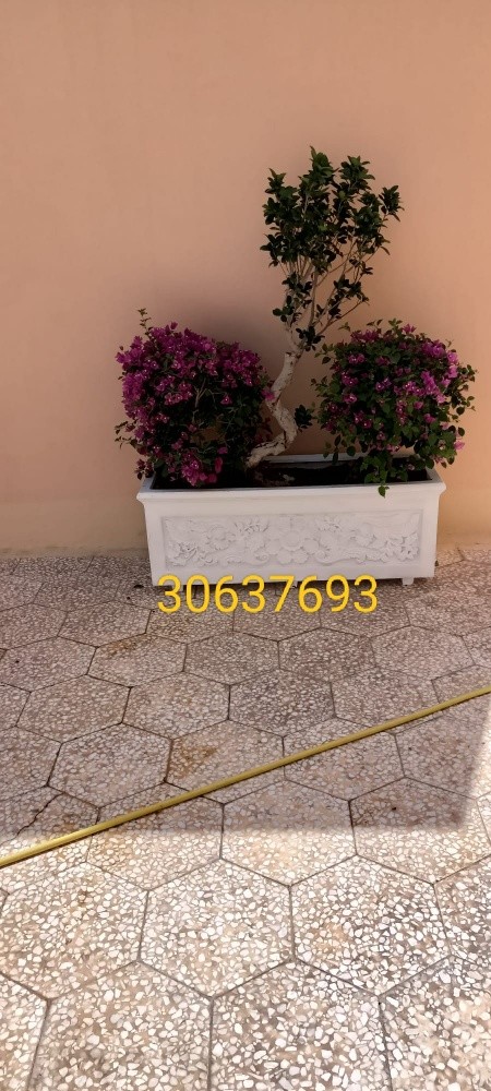 زراعه الأحواض - 6