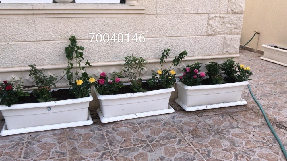 زراعه الأحواض - 2