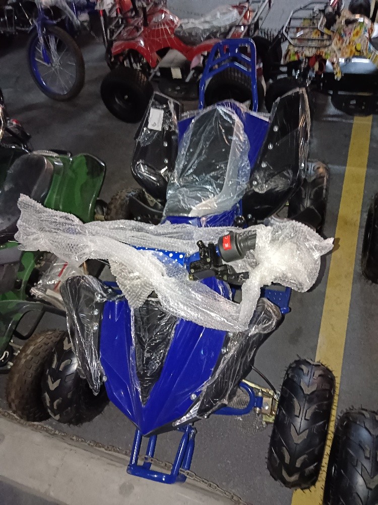 Budbuda patrol 110cc - 3