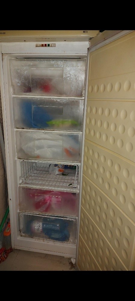 Stand Freezer For Sale Used - 1