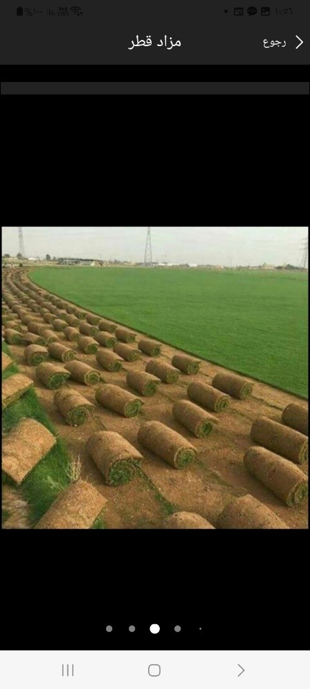 توريد وتركيب العشب الطبيعي الاخض - 1
