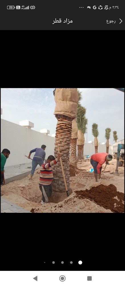 نخيل خدمات - 1