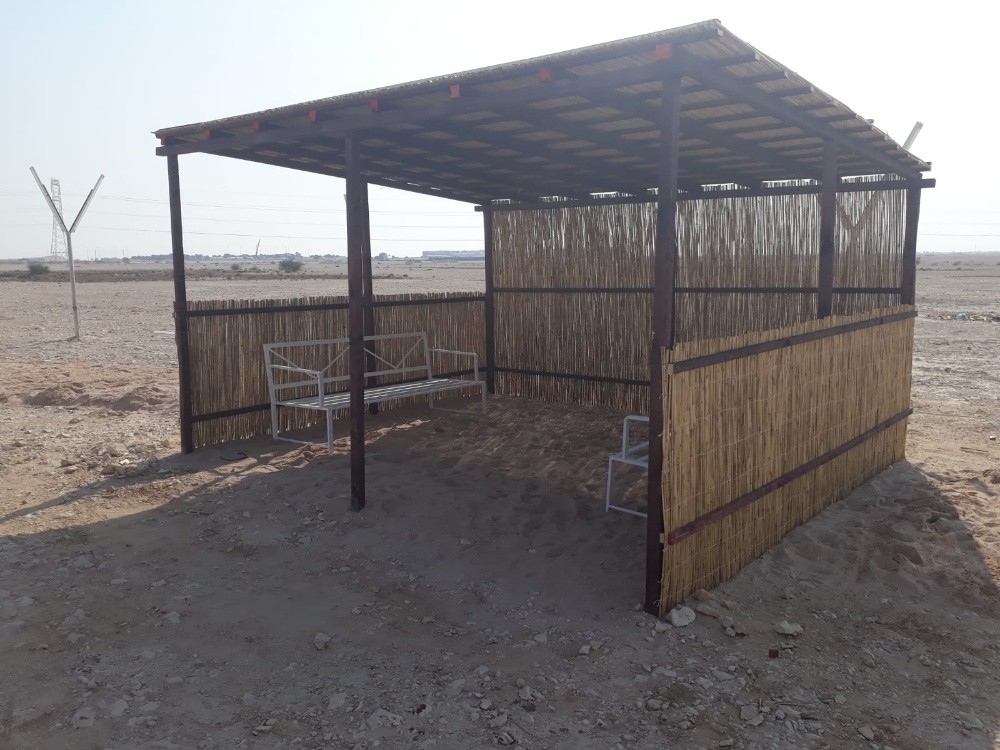 العريش - 5