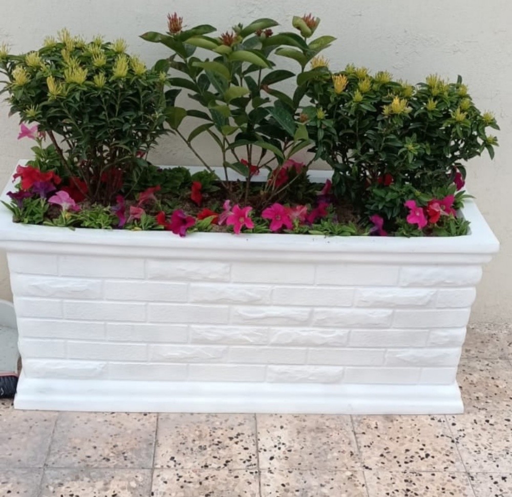 شركة زراعيه - 4