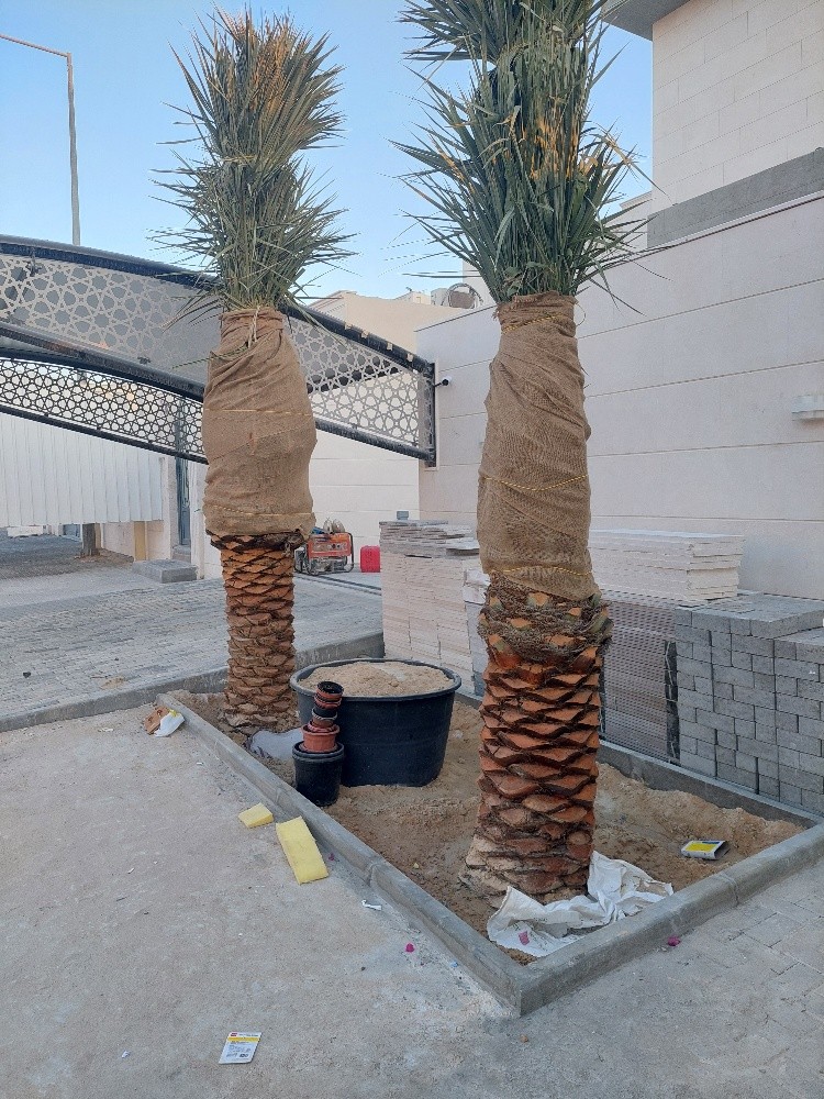 شركة زراعيه - 2