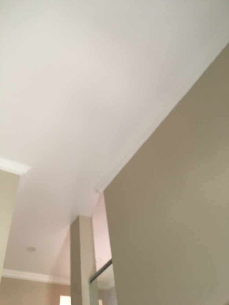صبغ - 14