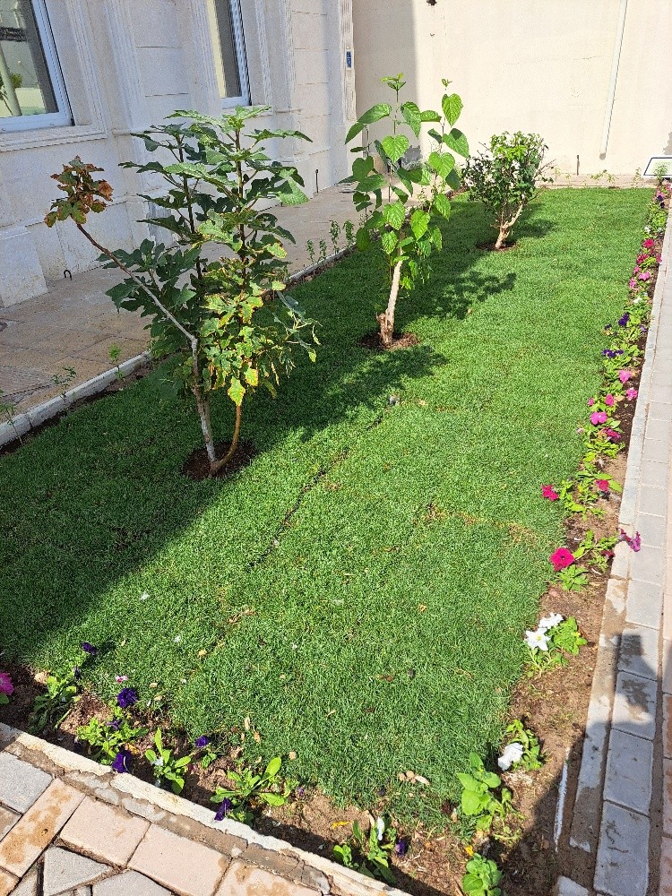 زراعة حدائق - 2