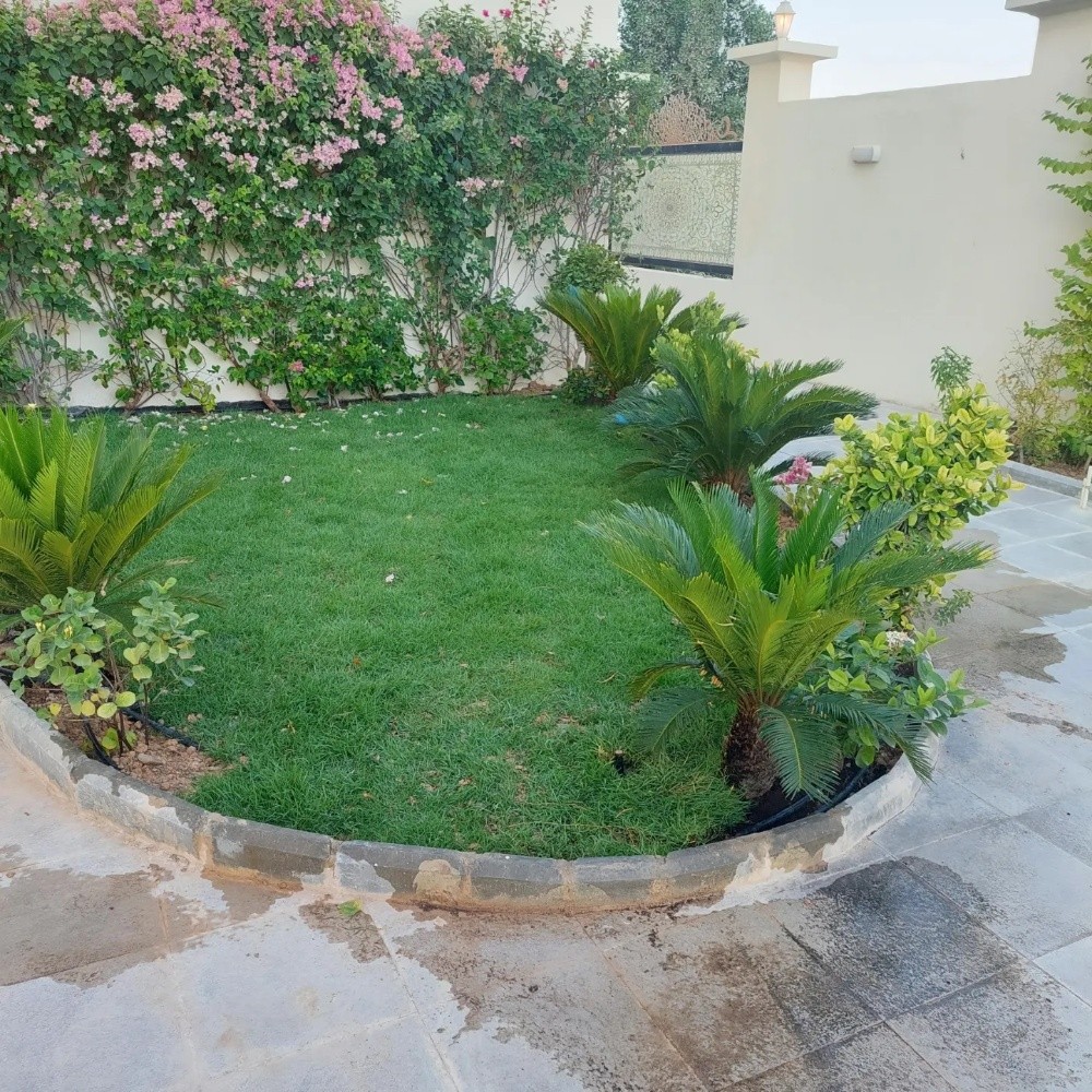 شركة زراعيه - 2