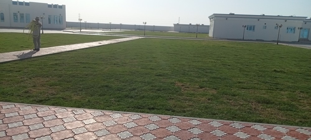 شبكات ري وتوريد العشب وي زراعة  - 2