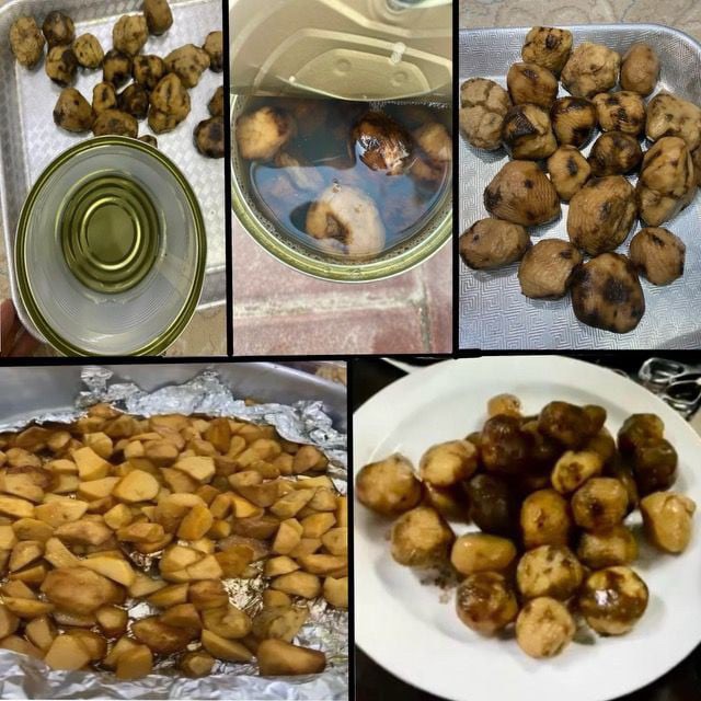 فقع معلب  - 4