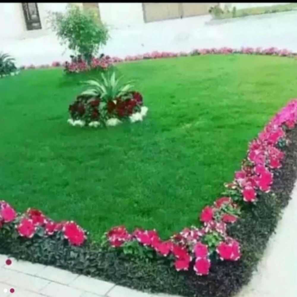 زراعة وديكور - 2