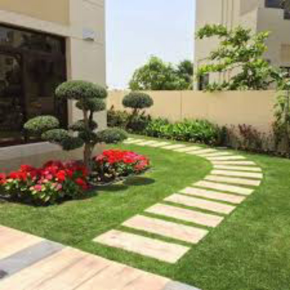 زراعه وديكور - 3