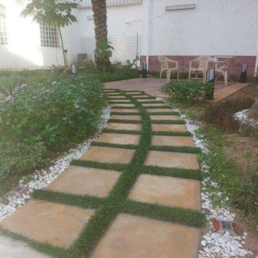 زراعه وديكور - 5