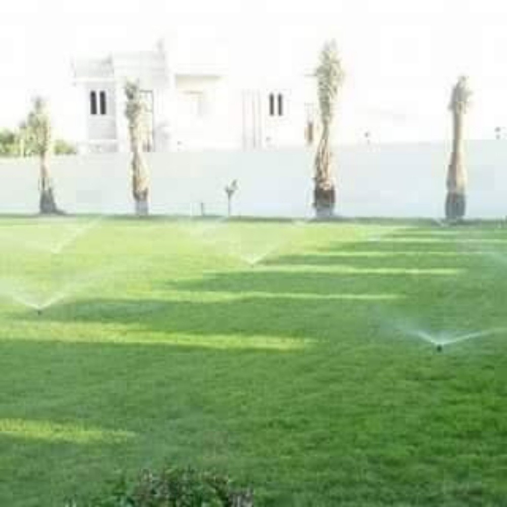 زراعه وديكور - 4