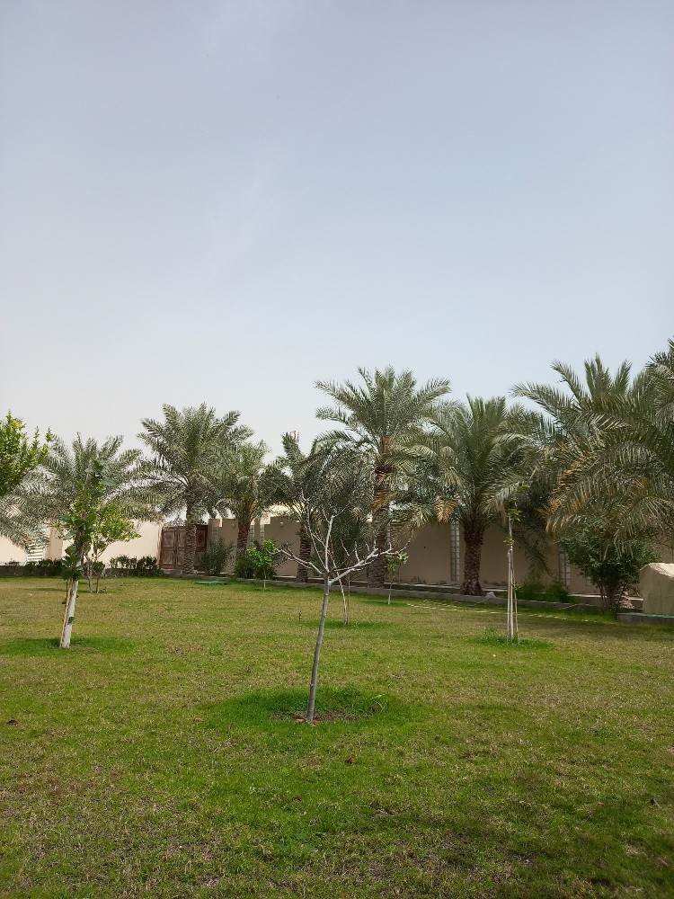 بوصالح - 5