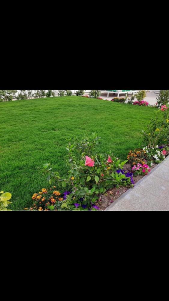 قطع لا شجار رزاعه  خلع النخيل و - 2